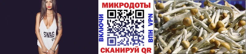гидра ССЫЛКА  Энем  Галлюциногенные грибы мухоморы 